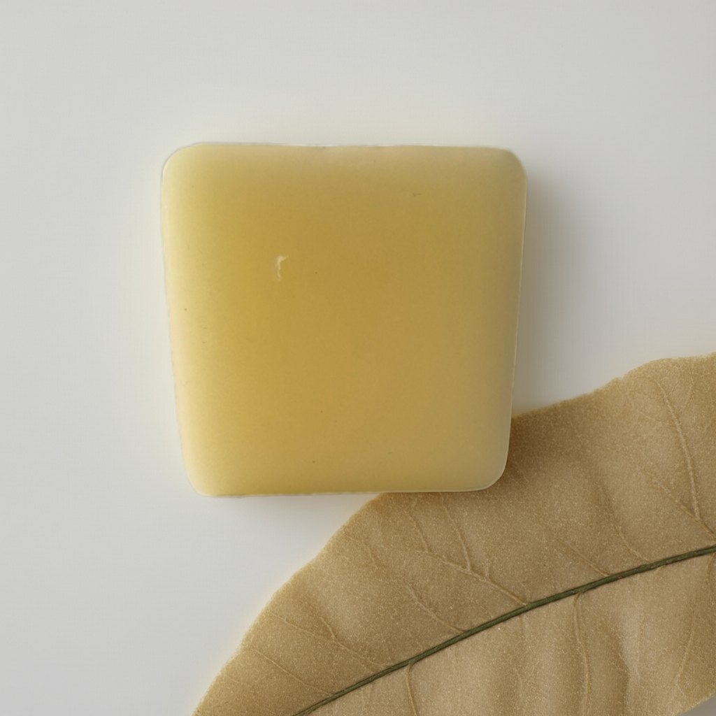 Mango-Coconut Shampoo & Conditioner Bars Kit